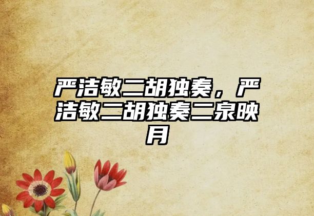 嚴(yán)潔敏二胡獨奏，嚴(yán)潔敏二胡獨奏二泉映月