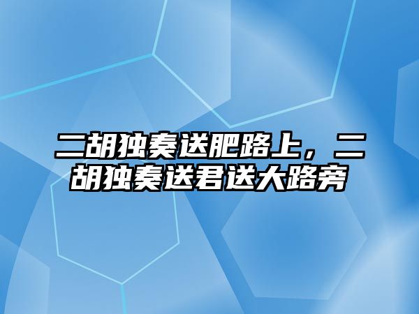 二胡獨奏送肥路上，二胡獨奏送君送大路旁