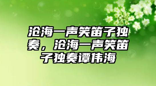 滄海一聲笑笛子獨奏，滄海一聲笑笛子獨奏譚偉海