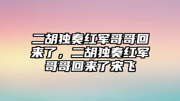 二胡獨奏紅軍哥哥回來了，二胡獨奏紅軍哥哥回來了宋飛