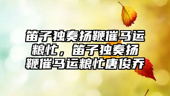 笛子獨奏揚鞭催馬運糧忙，笛子獨奏揚鞭催馬運糧忙唐俊喬