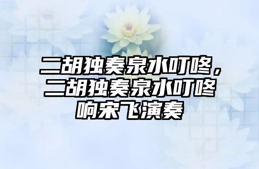 二胡獨奏泉水叮咚，二胡獨奏泉水叮咚響宋飛演奏