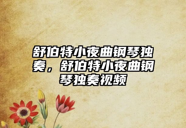 舒伯特小夜曲鋼琴獨(dú)奏，舒伯特小夜曲鋼琴獨(dú)奏視頻