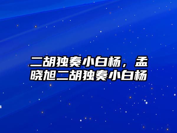 二胡獨奏小白楊，孟曉旭二胡獨奏小白楊