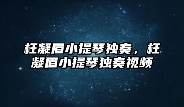 枉凝眉小提琴獨奏，枉凝眉小提琴獨奏視頻