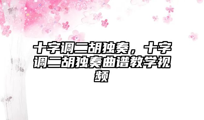 十字調二胡獨奏，十字調二胡獨奏曲譜教學視頻