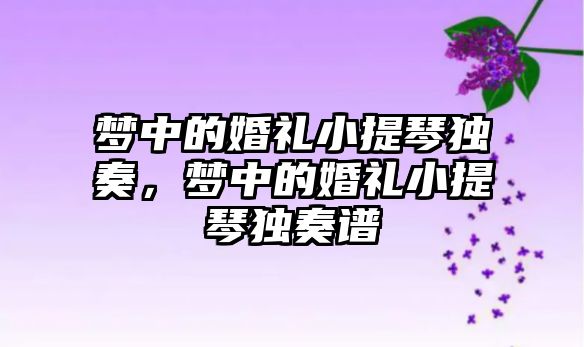 夢中的婚禮小提琴獨奏，夢中的婚禮小提琴獨奏譜