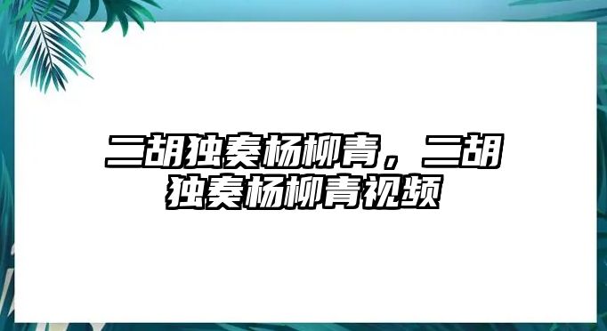 二胡獨奏楊柳青，二胡獨奏楊柳青視頻