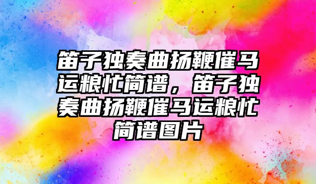 笛子獨奏曲揚鞭催馬運糧忙簡譜，笛子獨奏曲揚鞭催馬運糧忙簡譜圖片