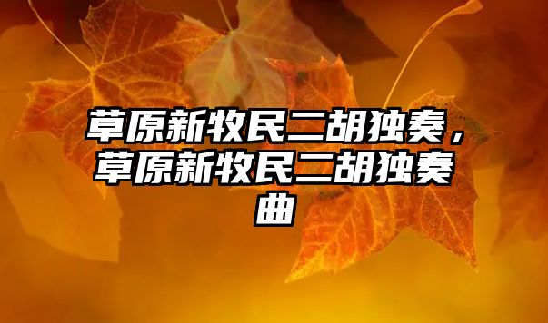 草原新牧民二胡獨奏，草原新牧民二胡獨奏曲