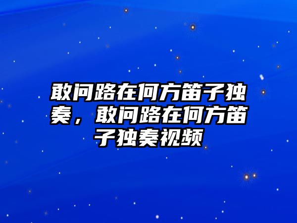 敢問路在何方笛子獨奏，敢問路在何方笛子獨奏視頻