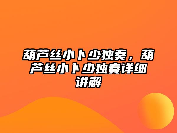 葫蘆絲小卜少獨奏，葫蘆絲小卜少獨奏詳細講解