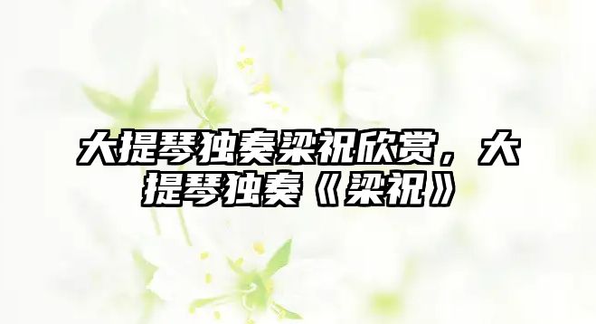 大提琴獨奏梁祝欣賞，大提琴獨奏《梁祝》