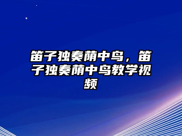 笛子獨奏蔭中鳥，笛子獨奏蔭中鳥教學視頻