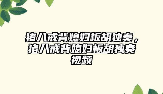 豬八戒背媳婦板胡獨奏，豬八戒背媳婦板胡獨奏視頻