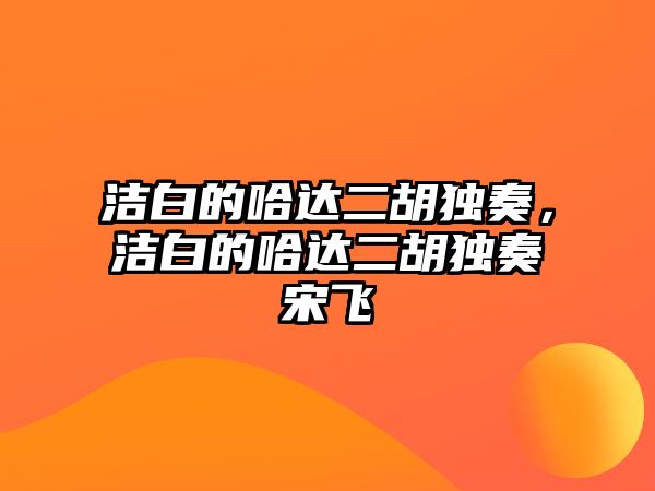 潔白的哈達二胡獨奏，潔白的哈達二胡獨奏宋飛