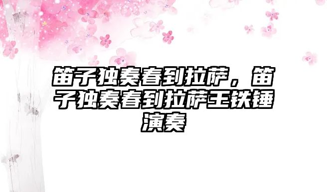 笛子獨奏春到拉薩，笛子獨奏春到拉薩王鐵錘演奏