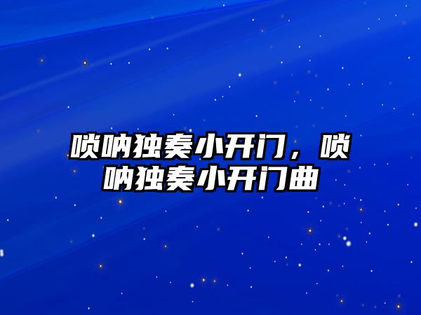 嗩吶獨奏小開門，嗩吶獨奏小開門曲