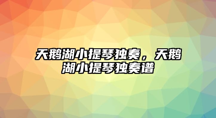 天鵝湖小提琴獨奏，天鵝湖小提琴獨奏譜