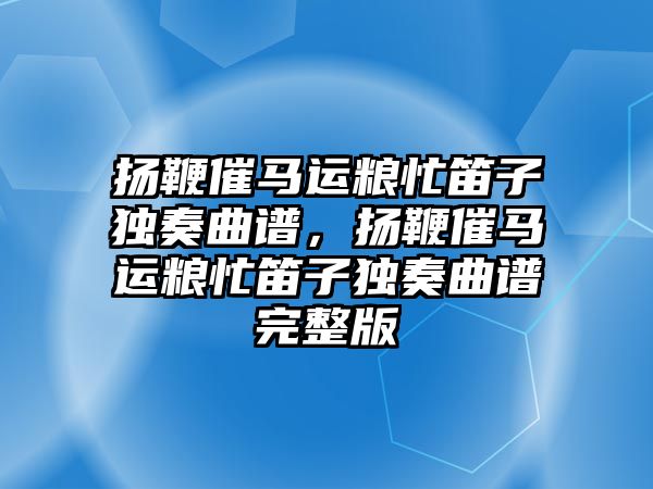 揚鞭催馬運糧忙笛子獨奏曲譜，揚鞭催馬運糧忙笛子獨奏曲譜完整版