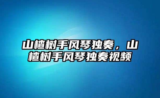 山楂樹手風琴獨奏，山楂樹手風琴獨奏視頻