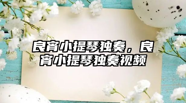 良宵小提琴獨奏，良宵小提琴獨奏視頻