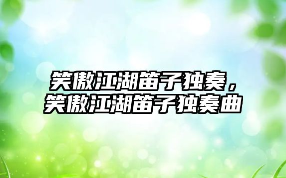 笑傲江湖笛子獨奏，笑傲江湖笛子獨奏曲