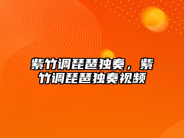 紫竹調琵琶獨奏，紫竹調琵琶獨奏視頻