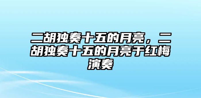 二胡獨奏十五的月亮，二胡獨奏十五的月亮于紅梅演奏