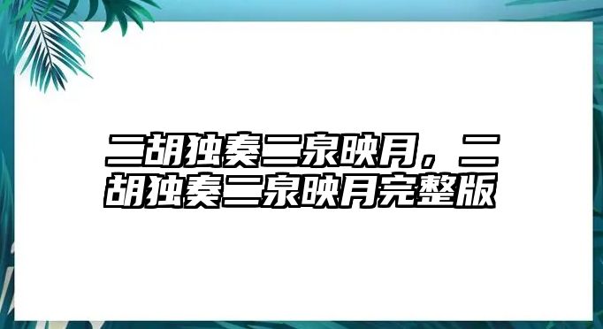 二胡獨奏二泉映月，二胡獨奏二泉映月完整版