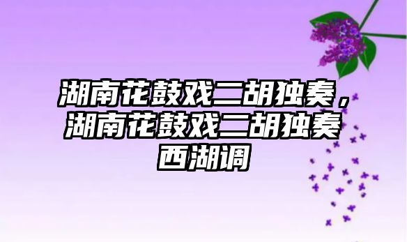 湖南花鼓戲二胡獨奏，湖南花鼓戲二胡獨奏西湖調(diào)