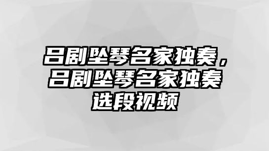 呂劇墜琴名家獨奏，呂劇墜琴名家獨奏選段視頻