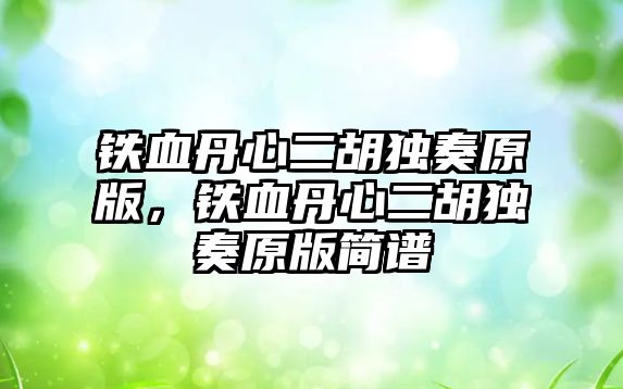 鐵血丹心二胡獨奏原版，鐵血丹心二胡獨奏原版簡譜