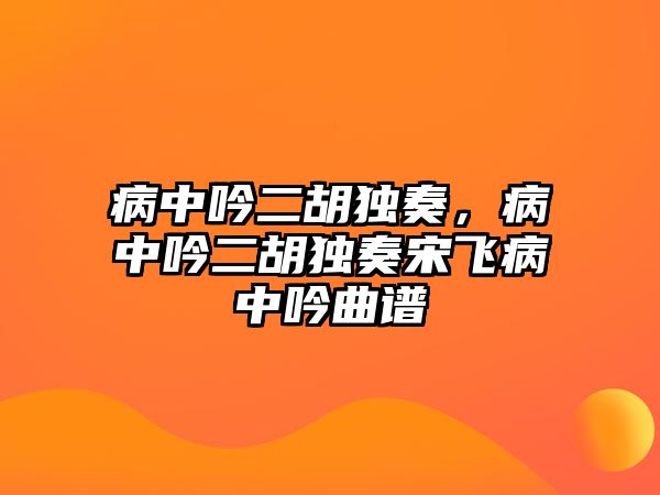 病中吟二胡獨奏，病中吟二胡獨奏宋飛病中吟曲譜