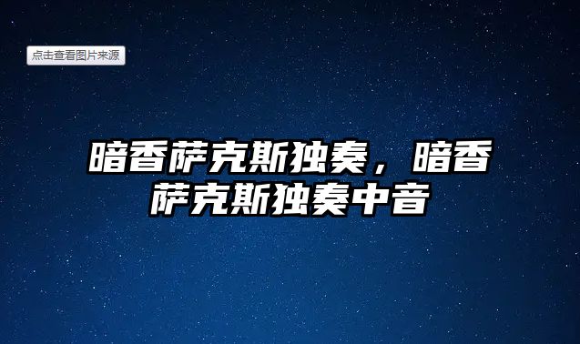 暗香薩克斯獨奏，暗香薩克斯獨奏中音