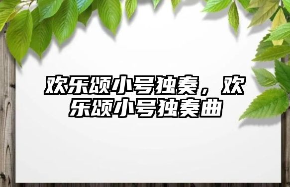 歡樂頌小號獨奏，歡樂頌小號獨奏曲