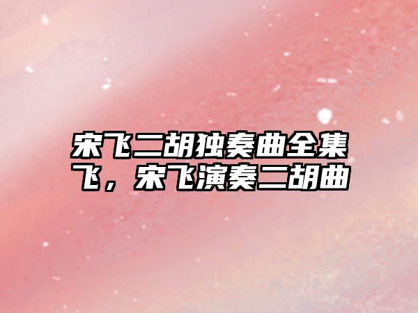 宋飛二胡獨奏曲全集飛，宋飛演奏二胡曲