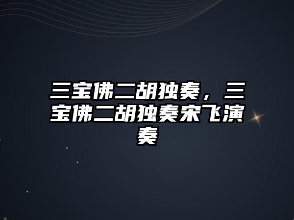 三寶佛二胡獨奏，三寶佛二胡獨奏宋飛演奏