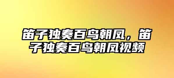 笛子獨(dú)奏百鳥朝鳳，笛子獨(dú)奏百鳥朝鳳視頻