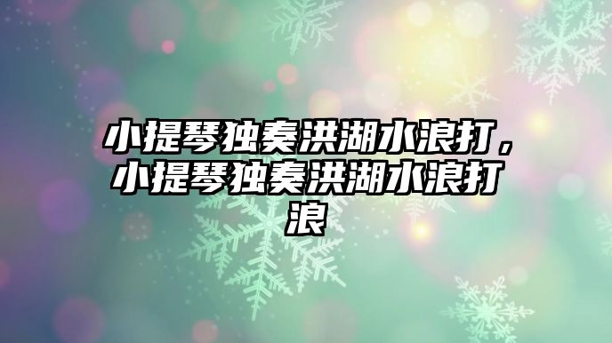 小提琴獨奏洪湖水浪打，小提琴獨奏洪湖水浪打浪