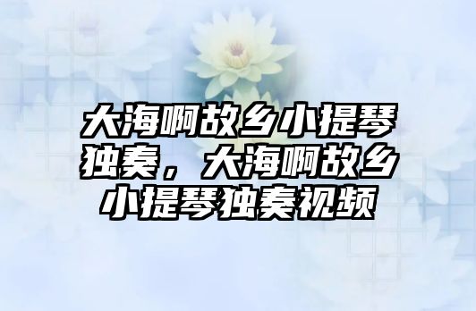 大海啊故鄉小提琴獨奏，大海啊故鄉小提琴獨奏視頻