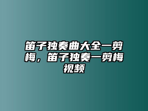 笛子獨奏曲大全一剪梅，笛子獨奏一剪梅視頻