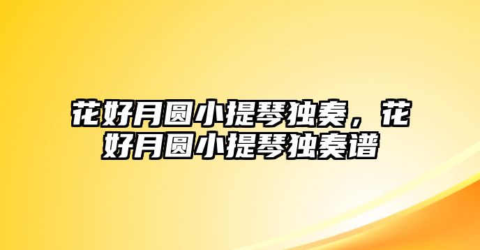 花好月圓小提琴獨奏，花好月圓小提琴獨奏譜