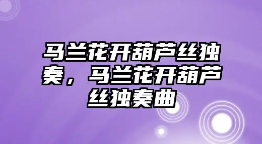 馬蘭花開葫蘆絲獨(dú)奏，馬蘭花開葫蘆絲獨(dú)奏曲