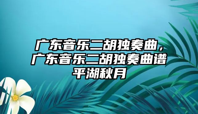 廣東音樂(lè)二胡獨(dú)奏曲，廣東音樂(lè)二胡獨(dú)奏曲譜平湖秋月