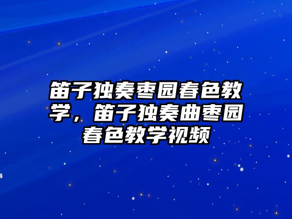 笛子獨奏棗園春色教學，笛子獨奏曲棗園春色教學視頻