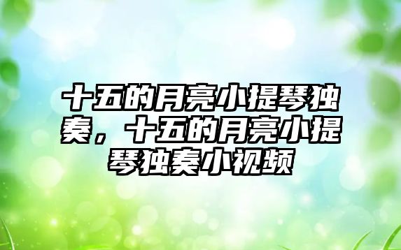 十五的月亮小提琴獨奏，十五的月亮小提琴獨奏小視頻