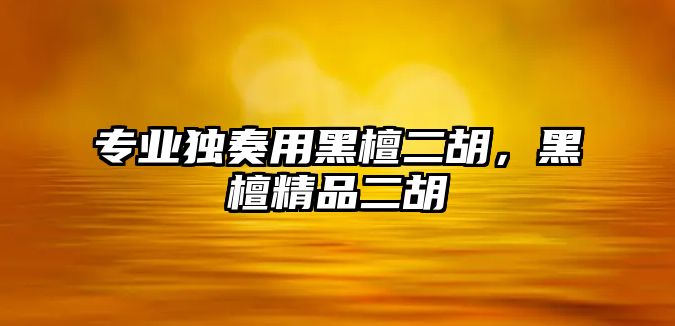 專業獨奏用黑檀二胡，黑檀精品二胡