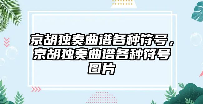 京胡獨奏曲譜各種符號，京胡獨奏曲譜各種符號圖片