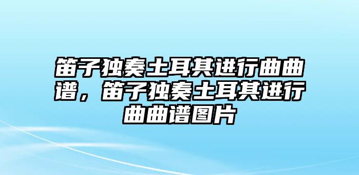 笛子獨奏土耳其進行曲曲譜，笛子獨奏土耳其進行曲曲譜圖片